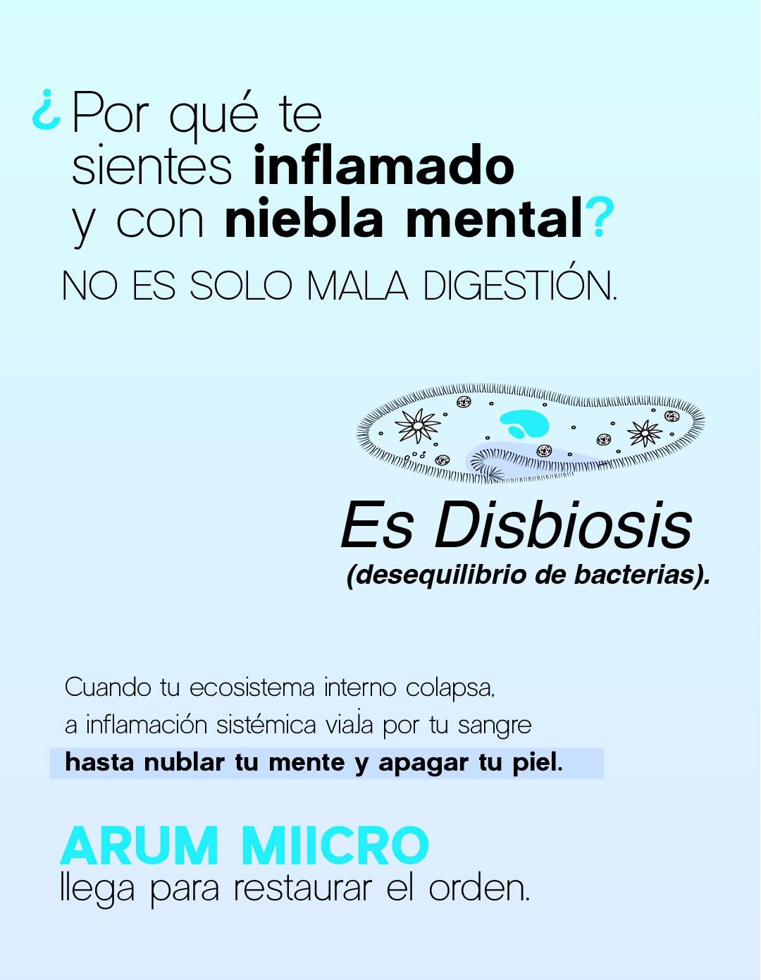 Text about inflammation and bacterial imbalance.