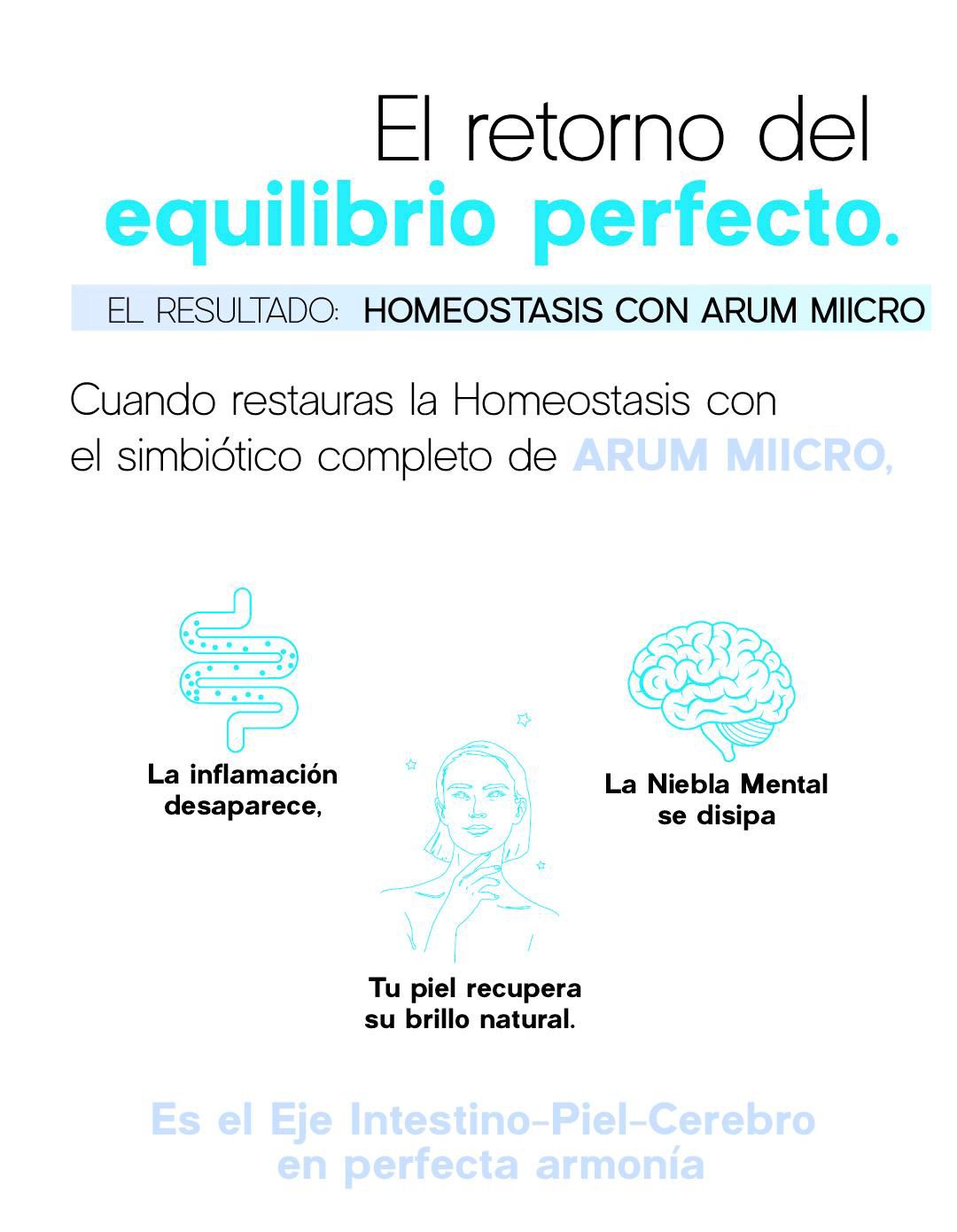 Text about restoring homeostasis and balance.