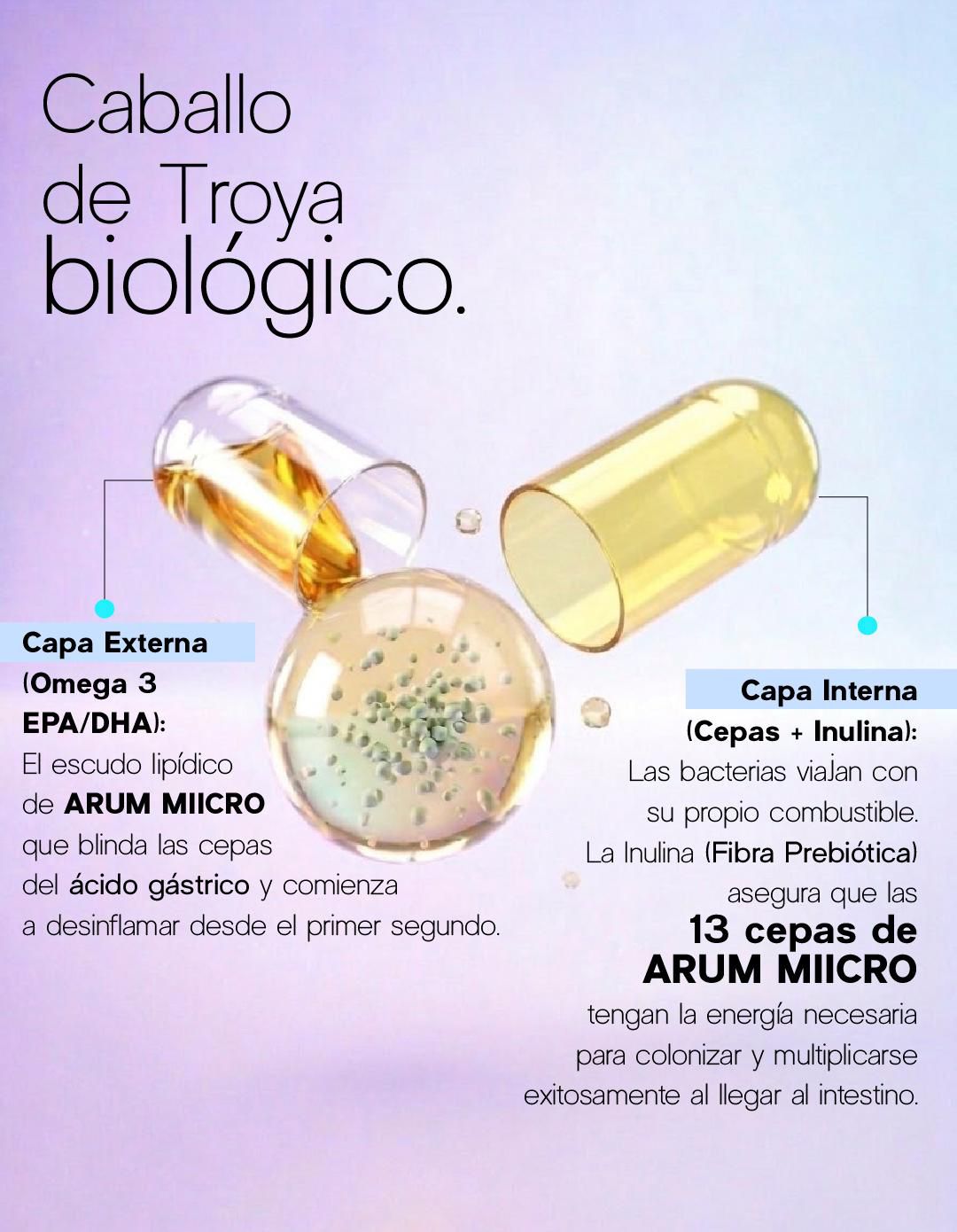 Transparent capsules with text descriptions in Spanish.